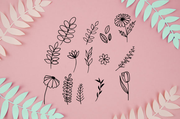 Leaves Bundle Hand Drawn Graphics for Decorative Elements
